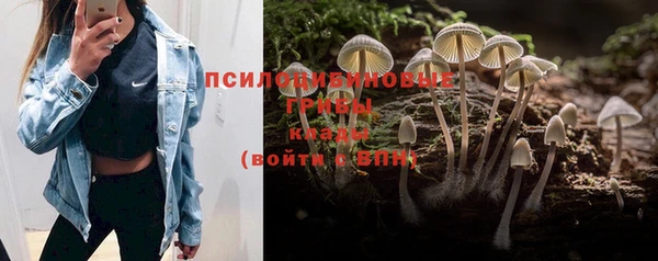 альфа пвп Каменск-Шахтинский