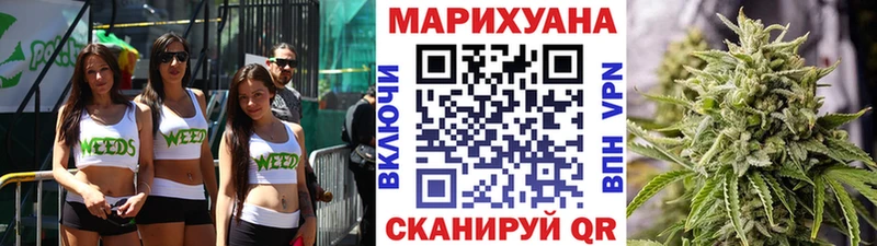 Каннабис план  Купить  Горняк 